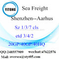 Shenzhen Port Seefracht Versand nach Aarhus